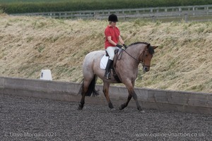 ISIS Dressage Challenge 2008